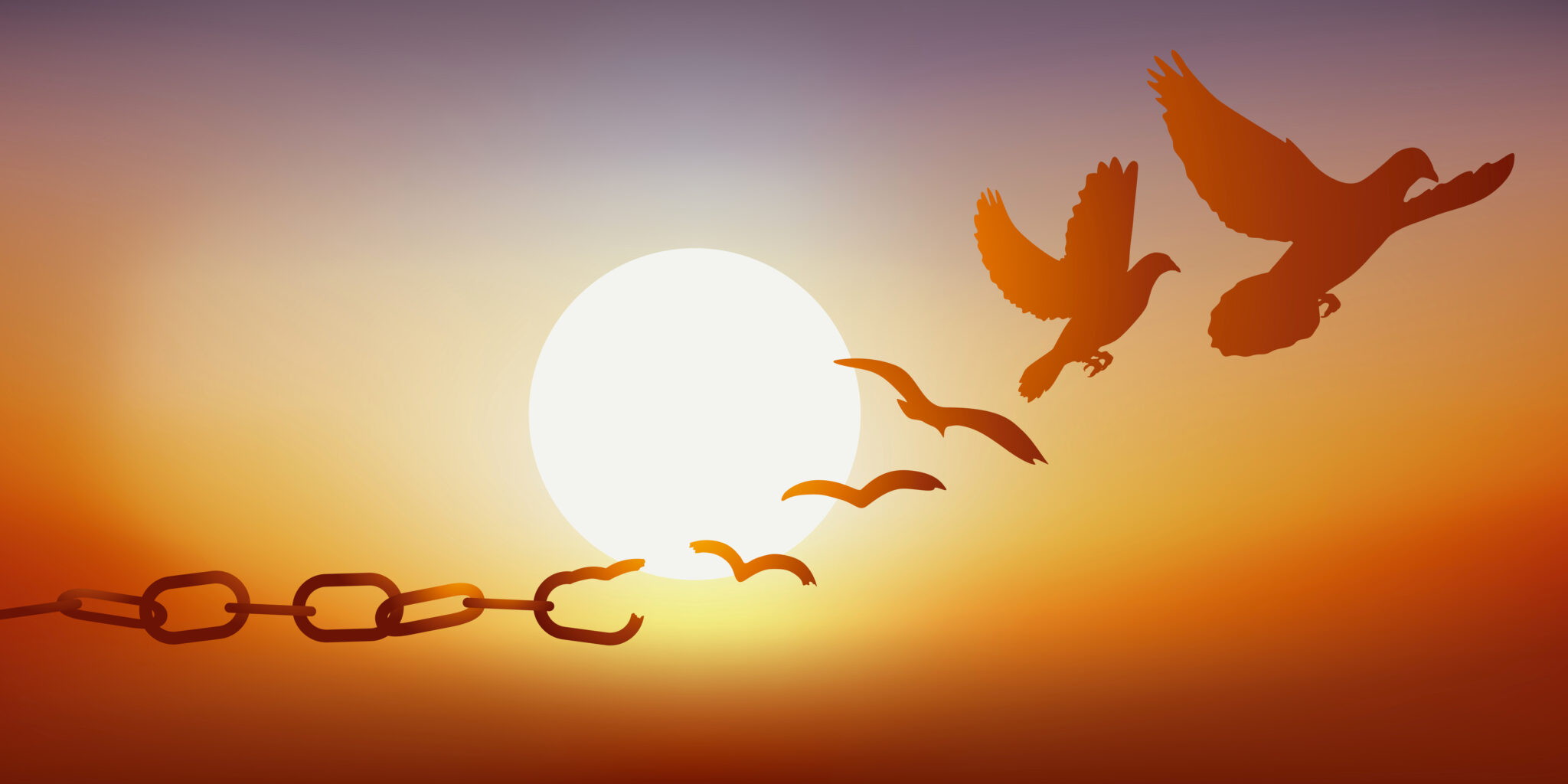 Concept de la liberté retrouvée, avec des chaînes qui se brisent et se transforment en une colombe qui s’envole au coucher du soleil.