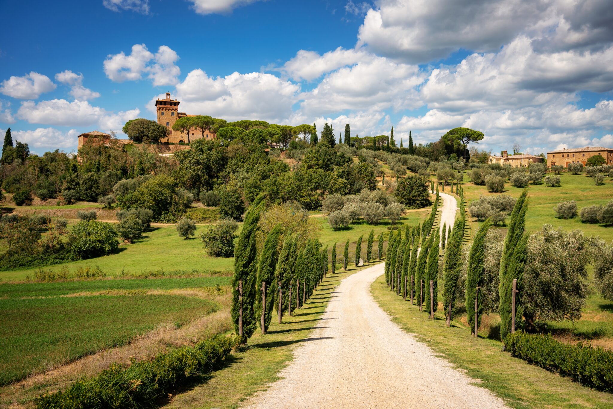 Pienza,,Tuscany,,Italy,,Tuscany,Landscape,,Cypress,Avenue,,Cypresses,,Winery,,Wine,